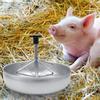Feeding Bowl,   Feeding, Feeding Container with Plastic Grooved Rod, Stainless Steel