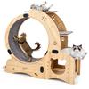 Rueda para Gatos 6 en 1 Rueda de Ejercicio, Rueda Ejercitadora Mejorada para Gatos de Interior, Cinta de Correr Grande, Rueda para Correr con Rueda Silenciosa, Muebles Juguetes Rueda para Caminar