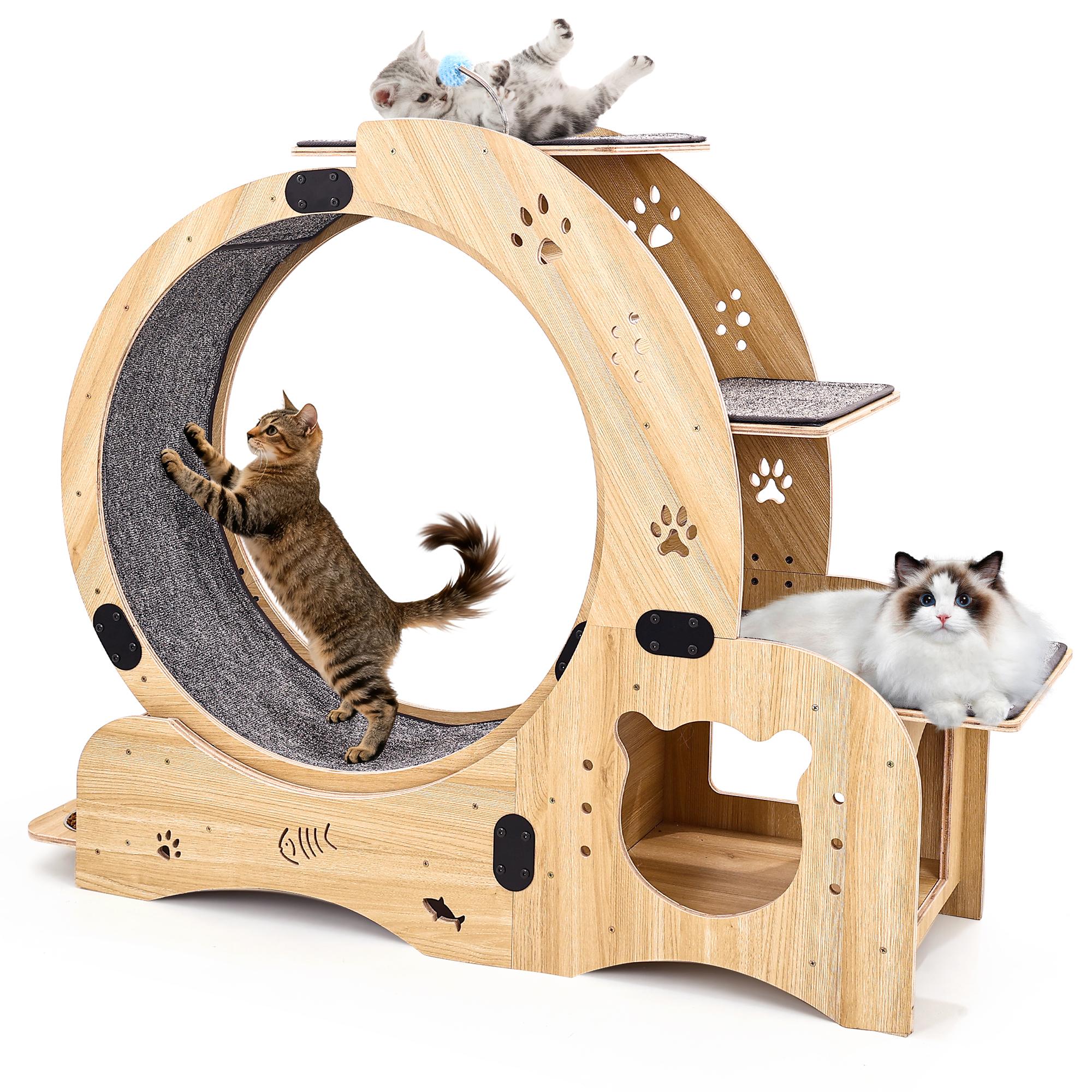 6-in-1 Cat Exercise Wheel, Wood Cat
