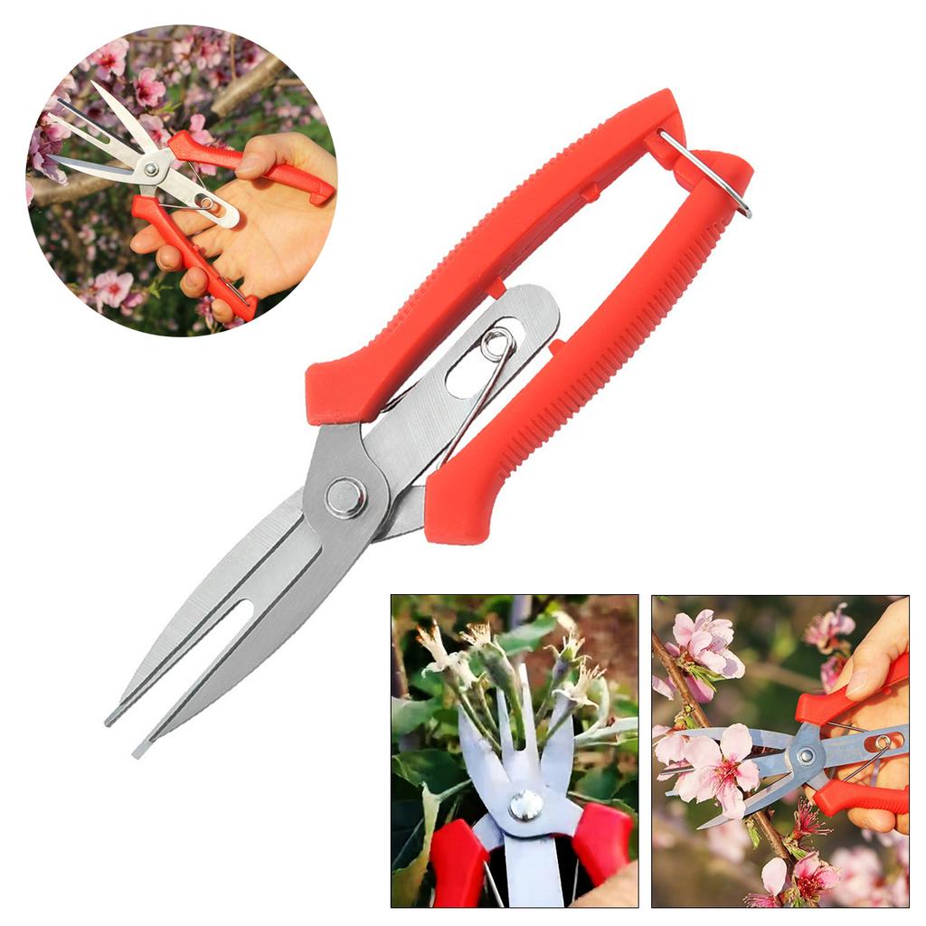 1Pc Double-Edged Fruit Flower Thinning Scissors Carbon Steel Garden Orchard Plant Kiwi Pear Apple Trees Multi-use Pruning Tools