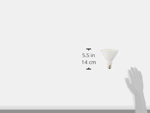 ELPA LED Beam Bulb, E26, Warm White, Waterproof, LDR15L-M-G051