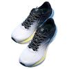 Anta Champion 3rd Gen PRO Cushioning, Wear Resistant Low top Running Shoes Men's White Black Blue Sneakers 112425561-3