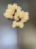 Artificial Green Pine & Cypress Branches for Autumn Décor