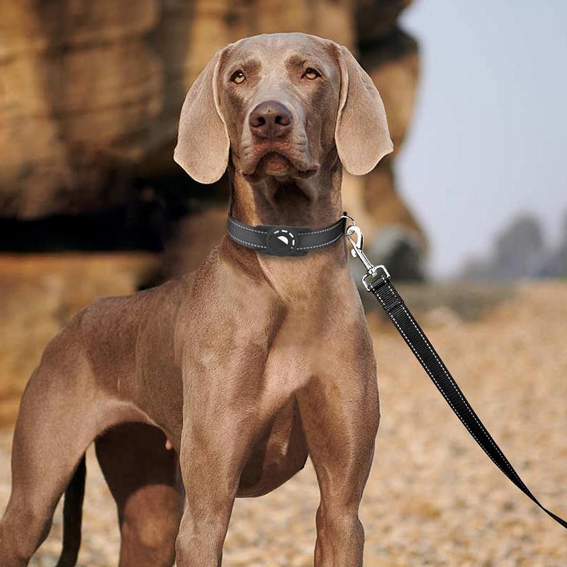 1.5m Night Reflection Dog Pet Towing Rope Guard Rope Pet Walking Training Leash Cats Dogs Harness Collar Lead Strap accessories