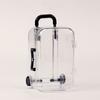 Retractable Wheels Mini Suitcase Fruits Glow In The Dark Luminous Fruits Toy  Jewelery Storage Box