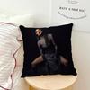 Hot Singer Lady Gaga Disease Pillow Case Sofa Living Room Bedroom Headboard Backrest Cushion Square Cushion Nap Time