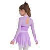 Girls Lyrical Dance Costume Mock Neck Long Sleeve Sparkly Rhinestones Mesh Dress