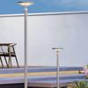 Dandelion Outdoor Garden Landscape Light