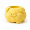 A Container In the Shape of a Plump Yellow Pig