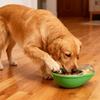 Pet Intelligence Training Kibble Dispenser Toy Ball Design Leaking Food Feeding Slow Feeder for Dog