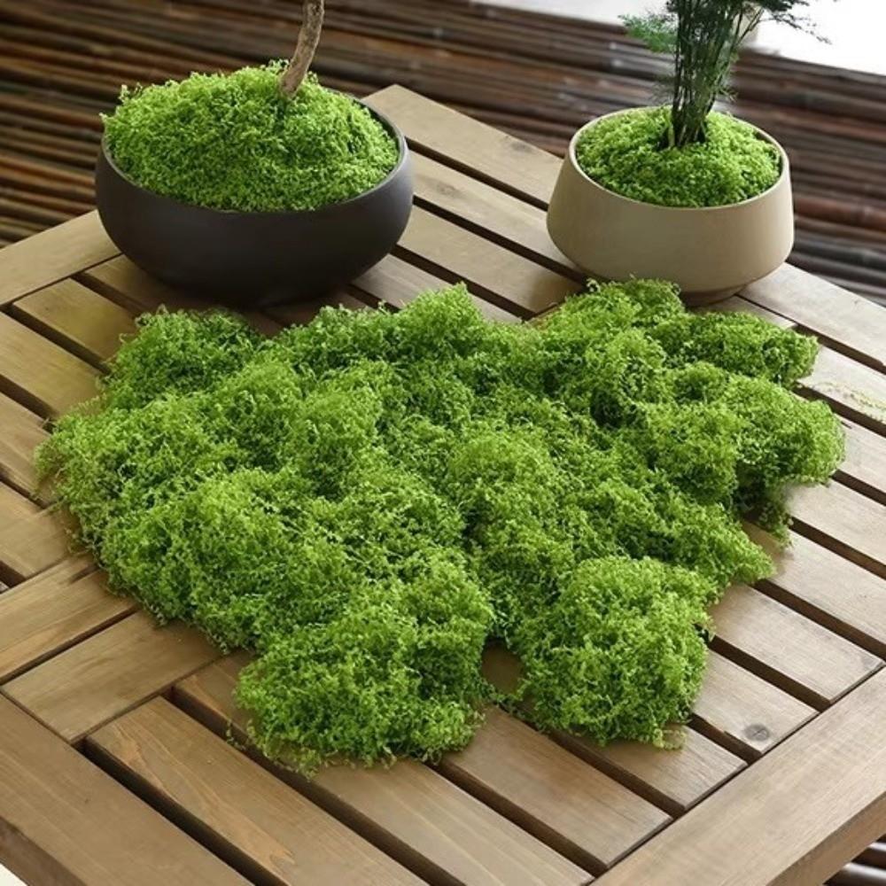 DIY Craft Faux Preserved Moss Polyester Simulation Green Moss Preserved Reindeer Moss Bonsai