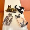 Pet Animal Hair Clip Acetic Acid Shark Clip Cute Acetate Cat Hair Claw  Girl