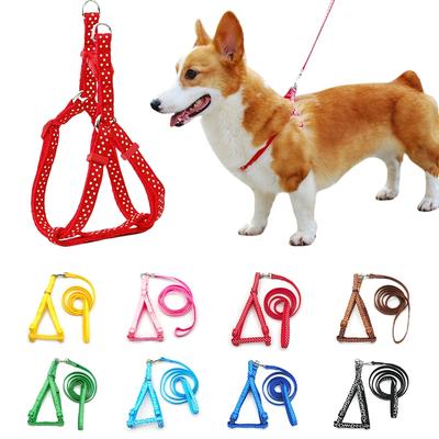 Hundegeschirr Katze Nylon Strap Weste Kragen Leine Set Ausbruchsicher Welpen Haustier Outdoor Walking Einstellbare Kätzchen Langlebige Traktion