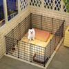 Indoor Small Dog Gate for Bichon, Corgi, Chihuahua Fence Style Cage