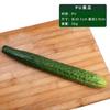 Top Quality PU Simulation Cucumber Eggplant Model Artificial Foam Vegetables Kitchen Decor Props Unusual Home Garden Decor