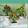 Simulated Lemon Peach Orange Pomegranate Tree Artificial Plant Potted