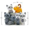 6pcs/set Succulent Micro Landscape Accessories Meat Potted Plants Decorative Ornaments