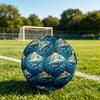 1pc Oceanic Predation Theme Soccer Ball Football, Size 5, Lightweight PVC, Durable Outdoor Training Soccer Ball, Gift M61481