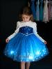 Glitzerndes leuchtendes Elsa Prinzessinnenkleid für Mädchen - Beflockter Herbst-/Winter-Halloween-Stil