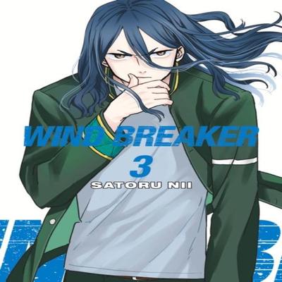 WIND BREAKER 3 von Satoru Nii Taschenbuch 9781646518371