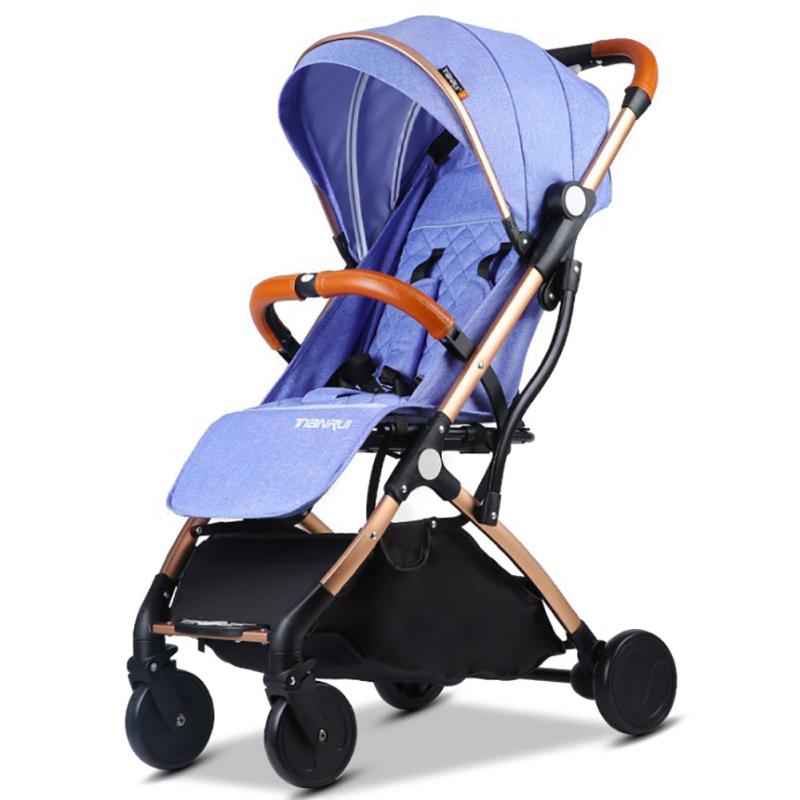 portable buggy