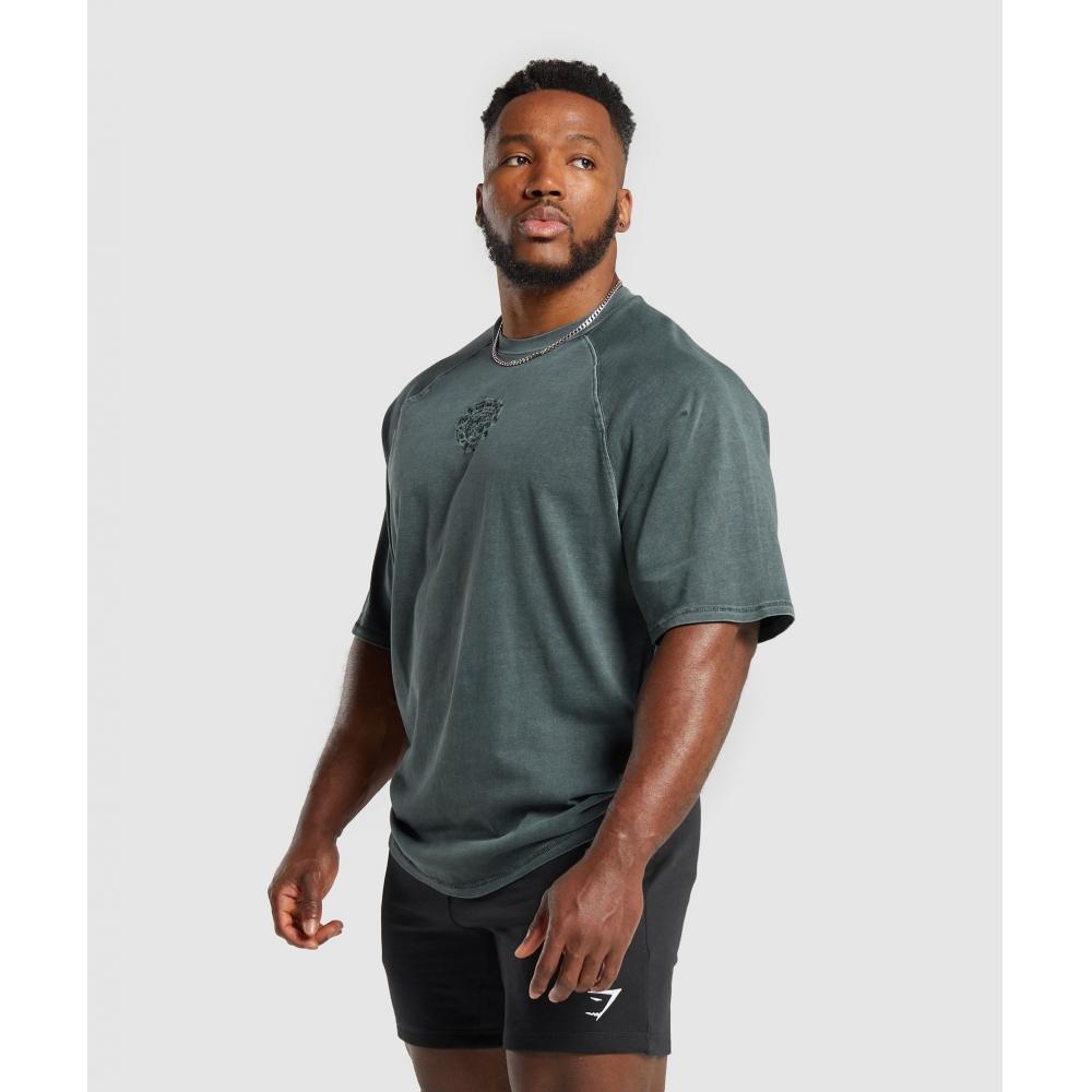 Gymshark Tricou Premium Legacy Cargo Turcoaz A6A7C TBQZ