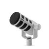 Accesorii audio și video – Microfoane
