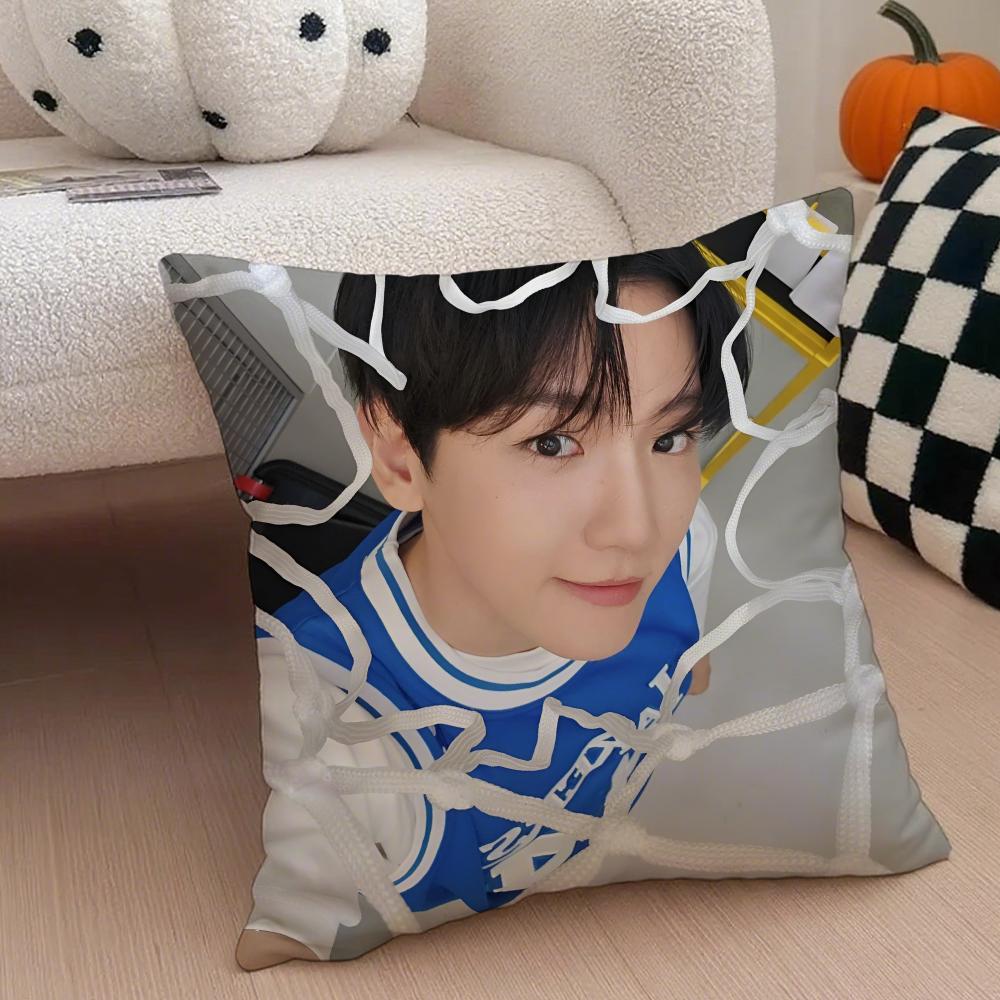 Classic Korean Handsome Singer BByun Baekhyun Cushion Cover Throw Pillow Cover Hidden Button Durable Polyester Chair Cushion