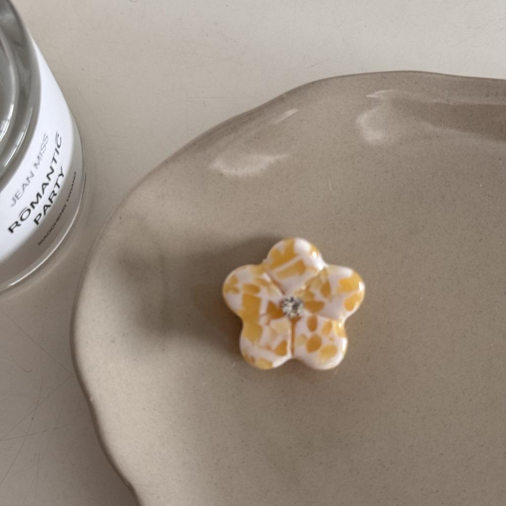 2Pcs Floral Acetic Acid Small Grab Clip Fashion Hairpin Fresh Mini Floral High-end Princess Head Cute Hair Accessory