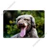 Lagotto Romagnolo Portrait Metal Sign Rusty Plaques Club Bar Wall Plaque Tin Sign Poster