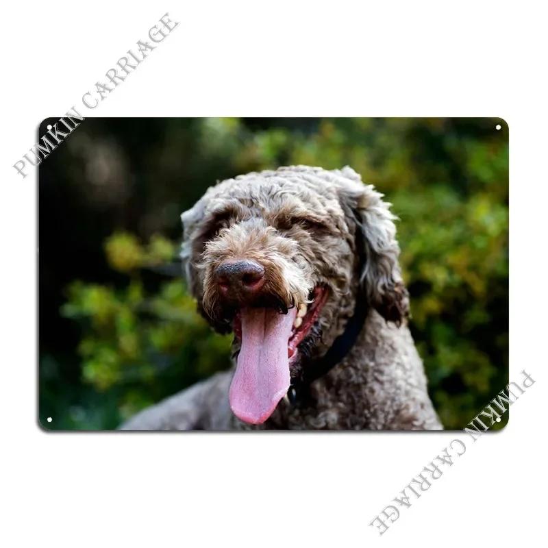 

Lagotto Romagnolo Portrait Metal Sign Rusty Plaques Club Bar Wall Plaque Tin Sign Poster 30x40cm(11.8x15.7inch)