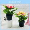 Flower Peony Artificial Pot Potted Plant For Home Decor And Living Display Room