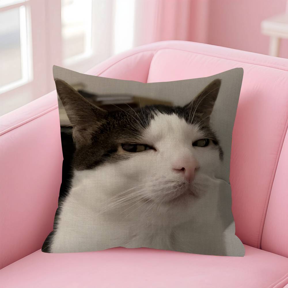 Funny Cat MMeme  Personalized Pillow Cover Kids Bedroom Wild Party Decor Pillowcase Kid Birthday Shower Gift