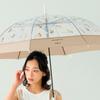 WPC Cat Durable Transparent Umbrella Pt Om05 001