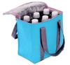 Epios Pop Color Thermal/Cold Cooler Bag (Contains 6 X 500ml