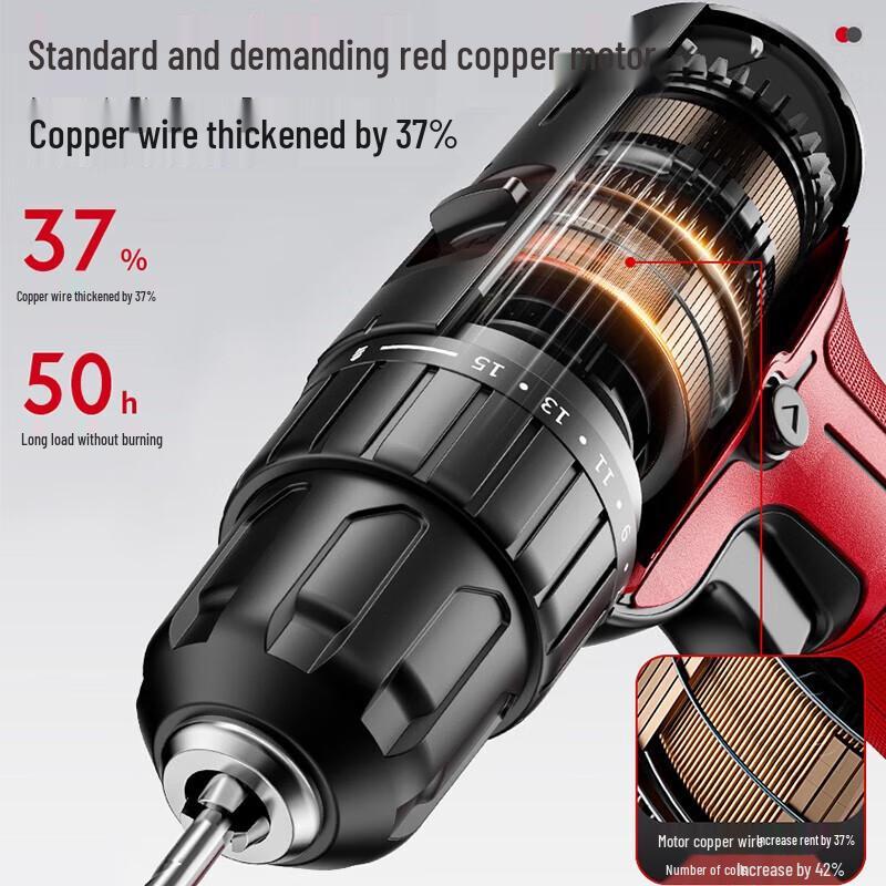 Delixi 16.8V Cordless Electric Drill/Screwdriver CN Plug (adapter Included)