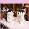 Cartoon Cute Handheld Rose Husky Plush Stuffed Toy Pillow For Decoration Room