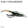 Null Insect Hunter Beetle Set 1box 10pcs