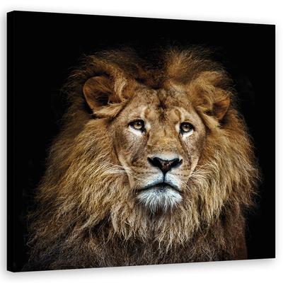 Leinwandbild Majestätischer Löwe