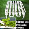 54 Löcher Hydroponisches Rohrsystem Standort Anzuchtset Tiefwasserkultur Pflanzkasten Gartensystem Anzuchttopf Hydroponisches Gestell 220V