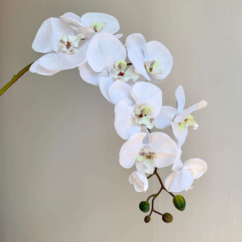 Realistic Phalaenopsis Orchid Single Stem for Wedding, Home Decor, and Floral Art