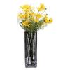 Thickened Square Glass Vase for Fresh Flowers - Elegant Hydroponic Floral Container for Living Room & Dining Table Decor