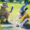 Insecte – Terarii pentru insecte