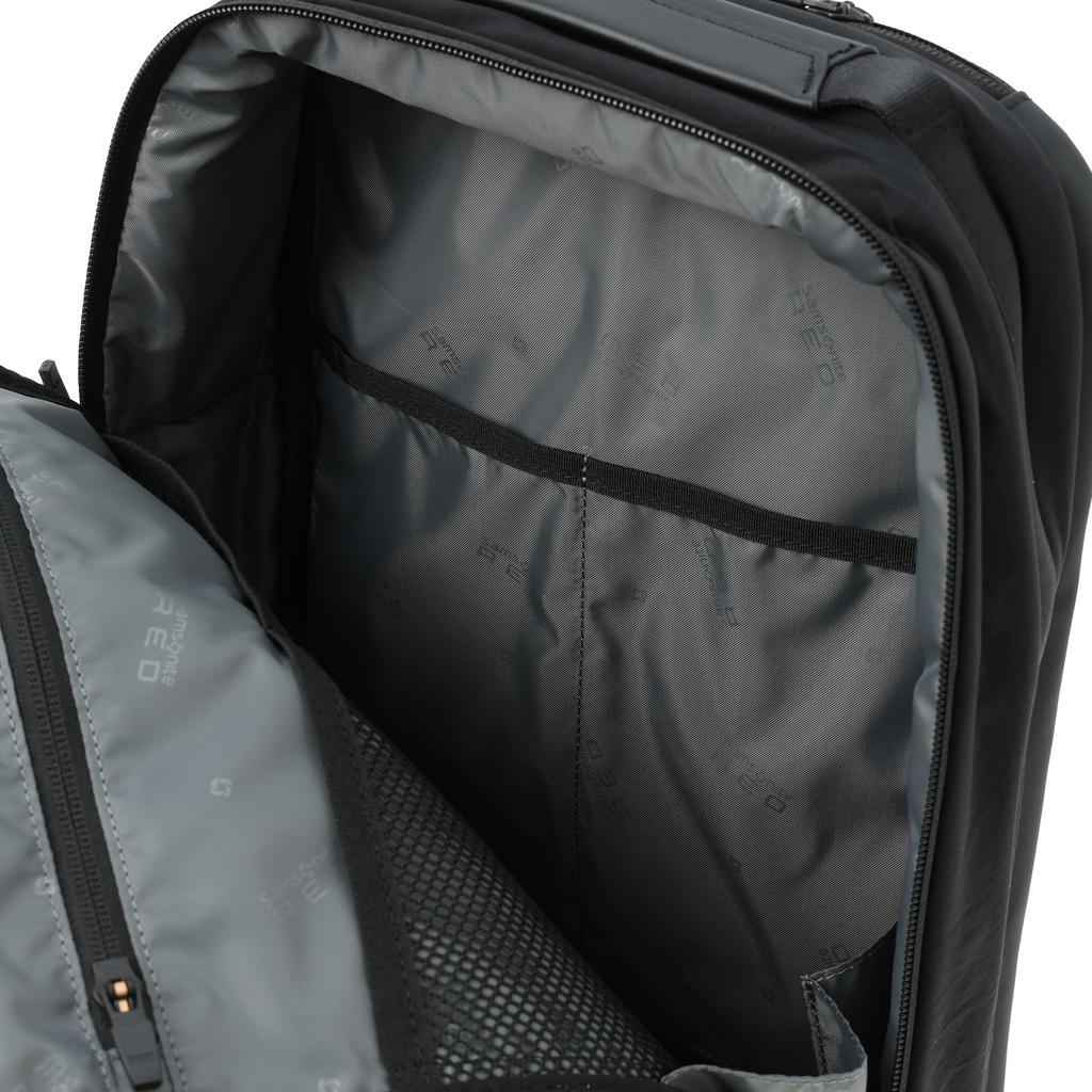 Samsonite Red STANDARZZ Backpack, Small, Black