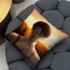 Levi Ackerman Attack On Titan Anime Cushion Cover 2-in-1 Reversible Plush Pillow Cover | Car/Sofa/Bed | Perfect Gift