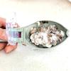 Fish Scales Graters Scraper Fish Cleaning Tool Scraping Scales Device with Cover Home Fishing Cleaning Peeler Kitchen Tool
