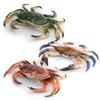 Crab Marine Animal Static Model Toy With Realistic Design For Decor Desktop