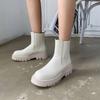 Autumn and Winter Round Head Thick Sole Large Size Women's Boots Sleeve Solid Color Medium Heel Non-slip Martin Boots New Square Heel Medium Boots