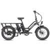 Fafrees FF20 CUV Longtail Electric Bike, 12 Ah X 2 Batteries, 250W