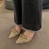 Fashion Metal Chain Stiletto Single Shoes Women's Fashion Pointed Toe Shallow Mouth Slip Foot Non-Slip High Heels